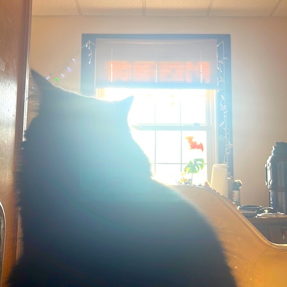 BUNDLE & MAKE AN OFFER!!!! - Picture 2 of 3